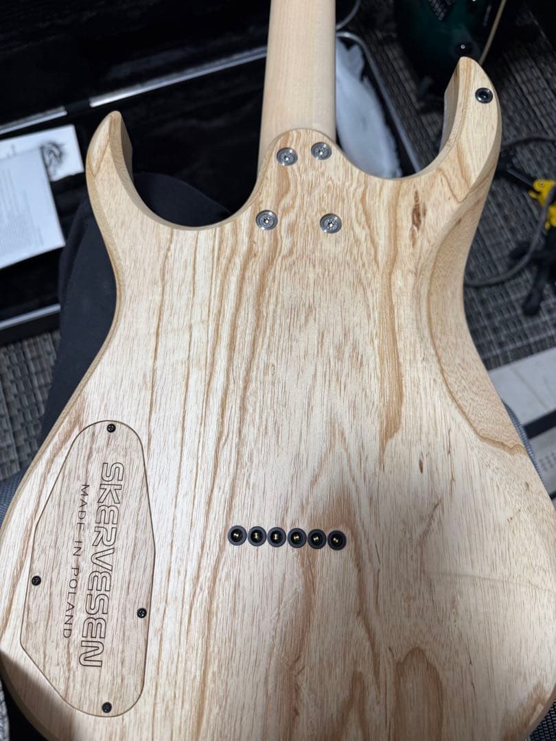 ギター Skervesen Velociraptor 6 2023