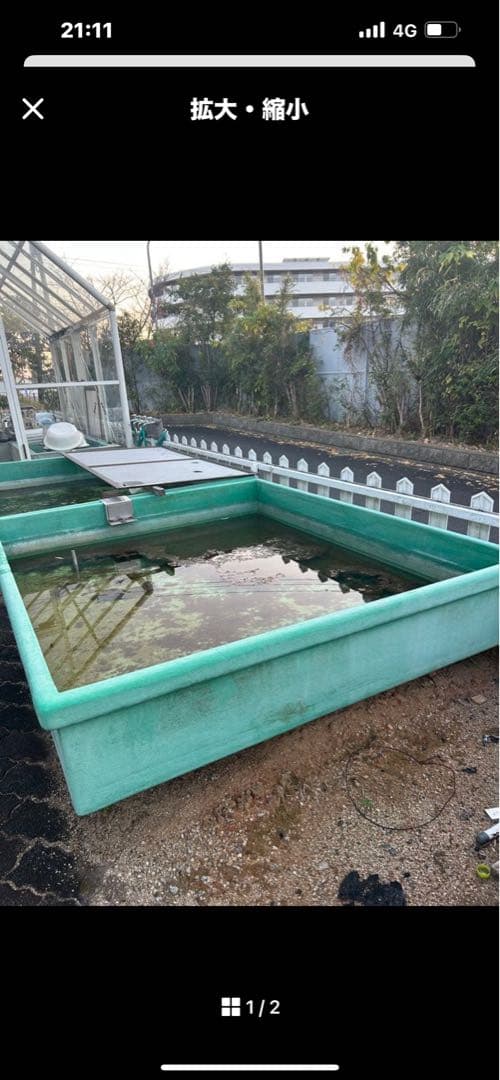 大型緑色水槽・池