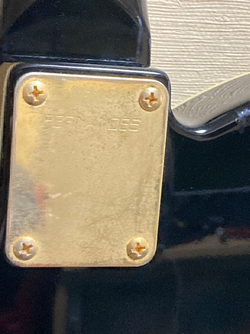 ギター Fernandes TEJ-55G