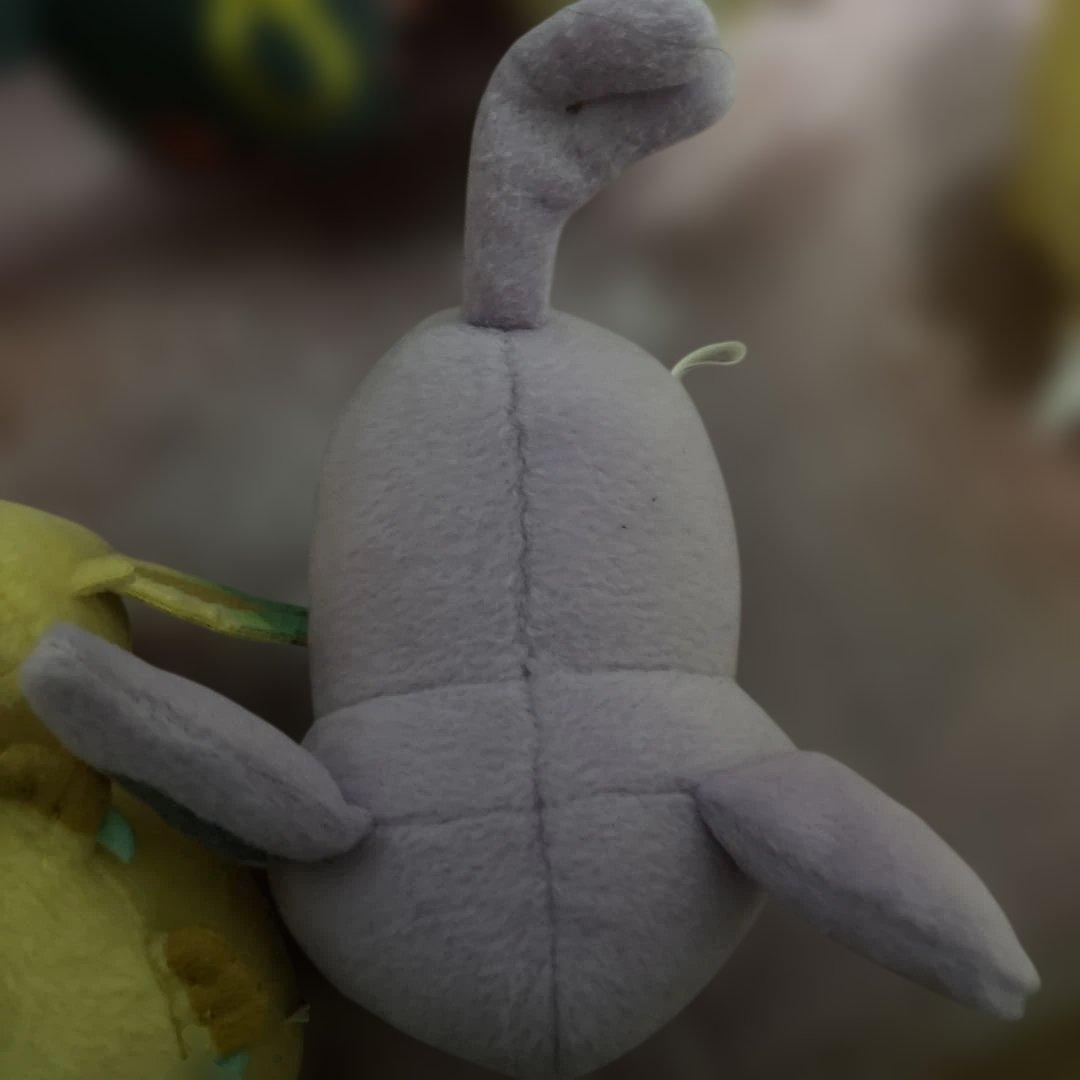 ちむ