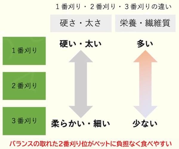 【8/20まで】 カナダ産 チモシー 60kg スーパープレミアム １番刈り