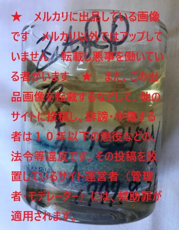 ★ZARD　坂井泉水「サイン入りキャンドル」