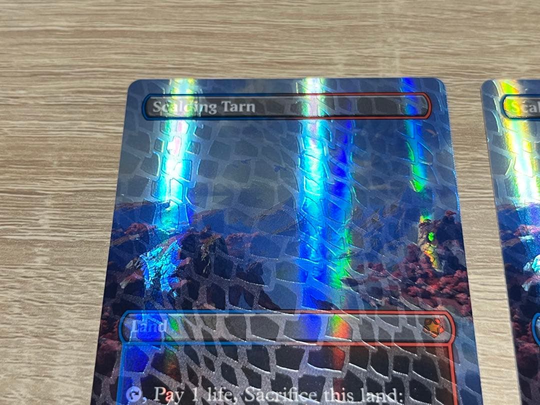 MTG TDM 沸騰する小湖　ドラゴンスケイル・Foil 英語　2枚