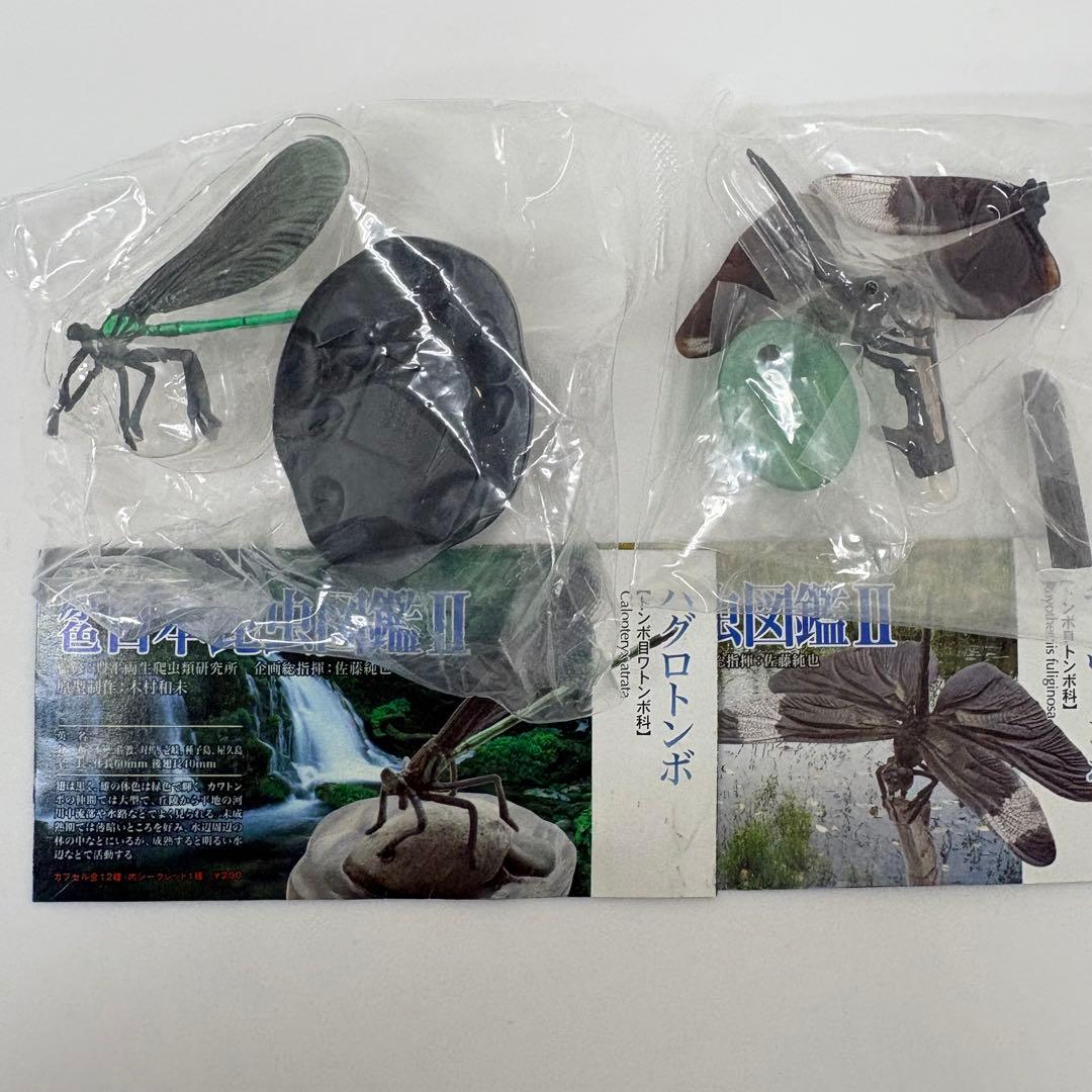 原色日本昆虫図鑑Ⅱ シークレット入りフルコン【未開封品】
