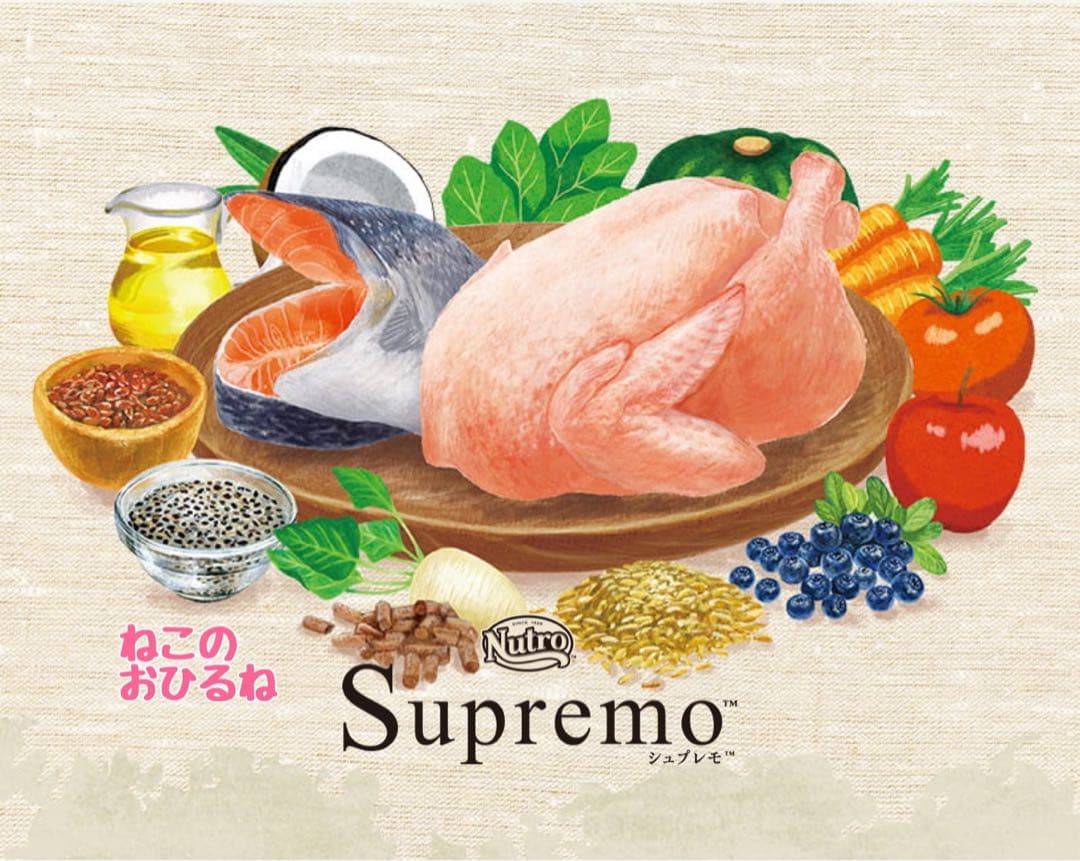 ニュートロシュプレモ　子猫用　（チキン&サーモン）　3kgパック×4袋
