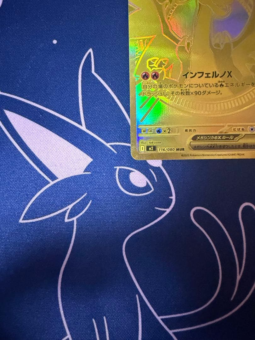 メガリザードンxex mur