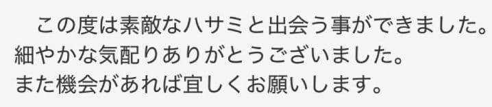 プロ用ペットカーブセニングシザートリマートリミングママミング両面可✨️スキバサミ