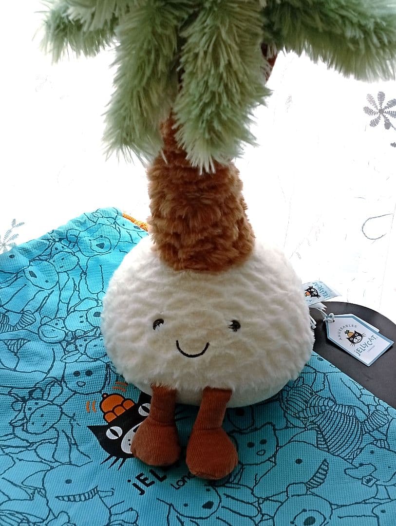  Pammie Palm Treeジェリーキャット植物　ヤシの木