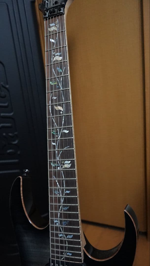 ギター Ibanez j-Custom Series RG8527