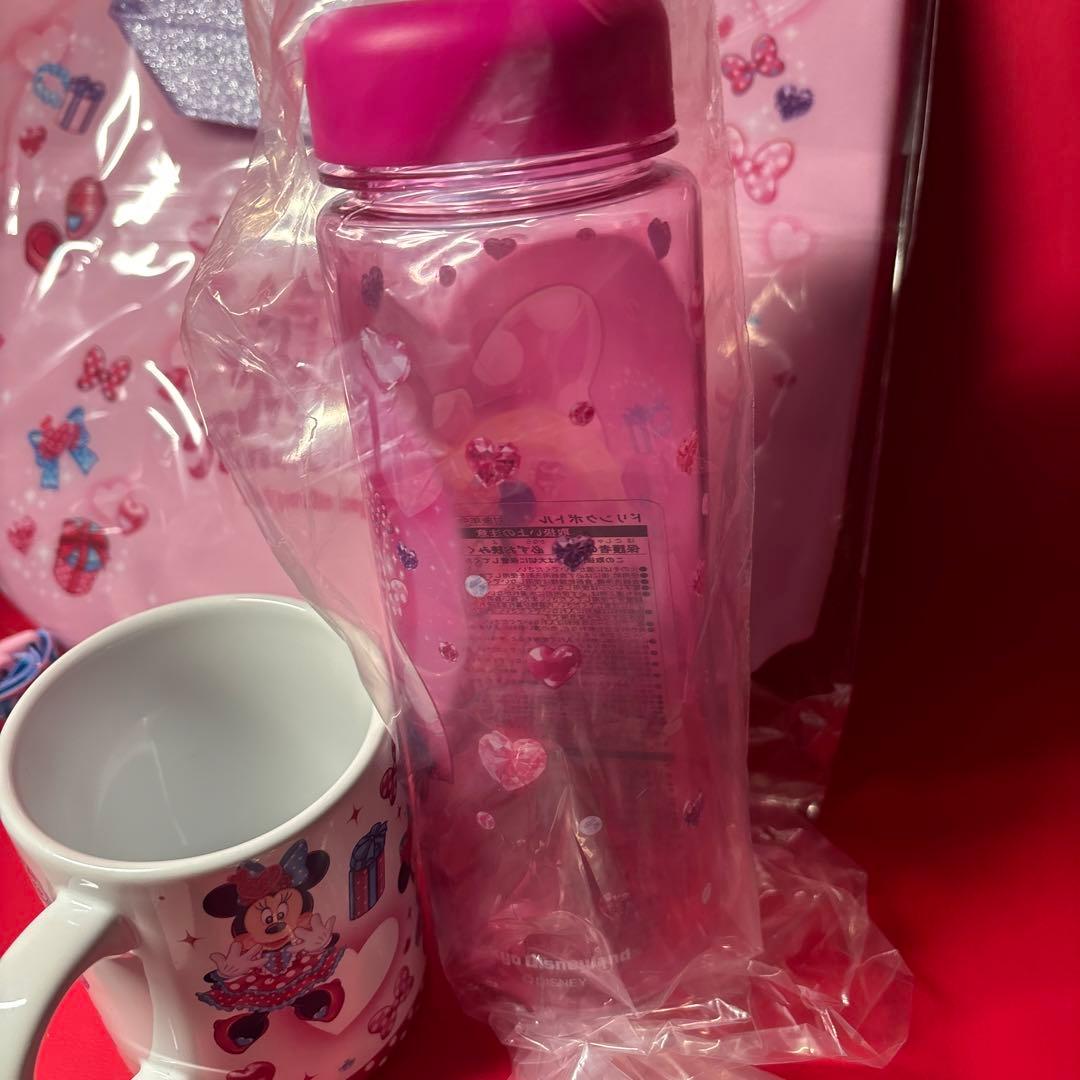 【未使用】ミニーのファンダーランド スーベニア６種　ディズニーパルパルーザ