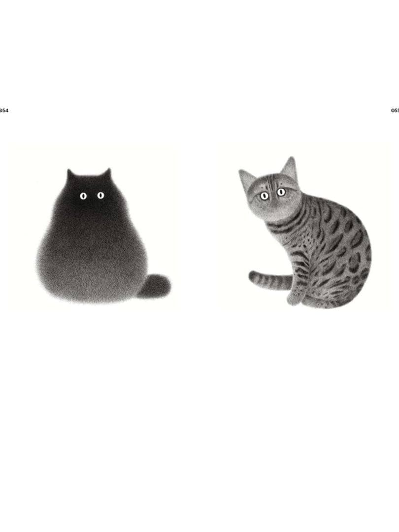 Felinity/猫イラスト集
