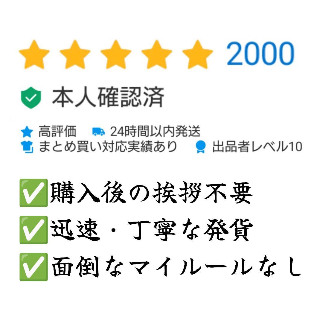 【激レア・新品・匿名配送】평양지하철도 전자결제카드