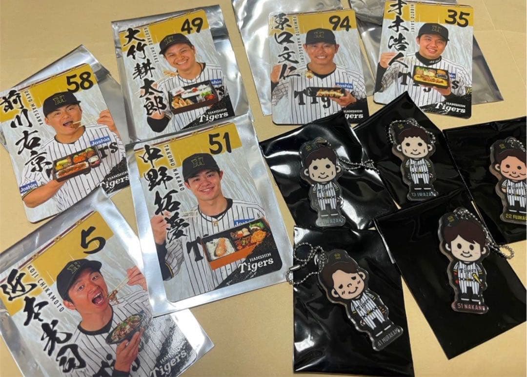 阪神タイガース大好き子