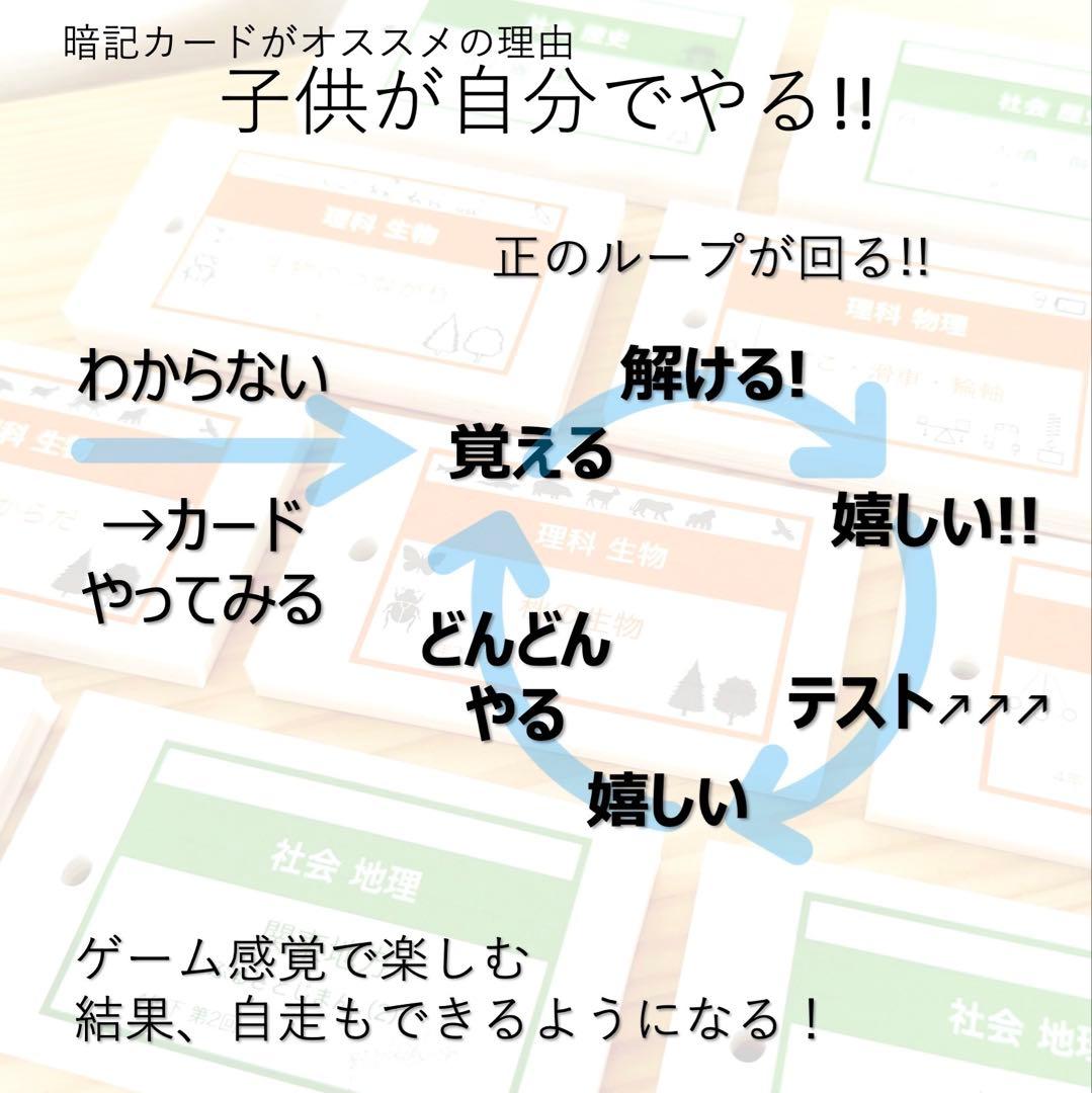 中学受験 暗記カード【5年上 社会 全セット 1-19回】組分けテスト 予シリ