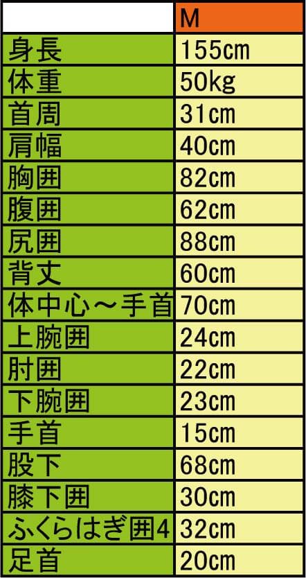 国内生産/ALL3mフルスーツ/クラッシックウェットスーツ/レディースMサイズ