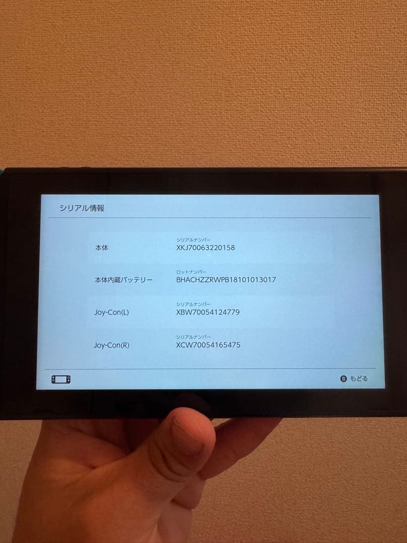 任天堂Switch 完品　ソフト付き