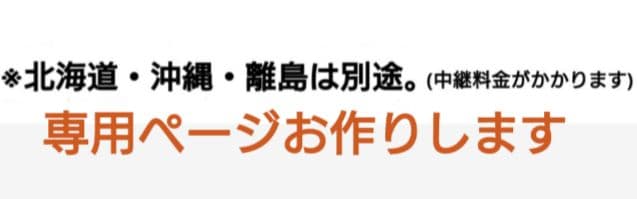 訳あり特価セール一点限り　和装トルソー　着付け練習用ボディ　和装ボディ