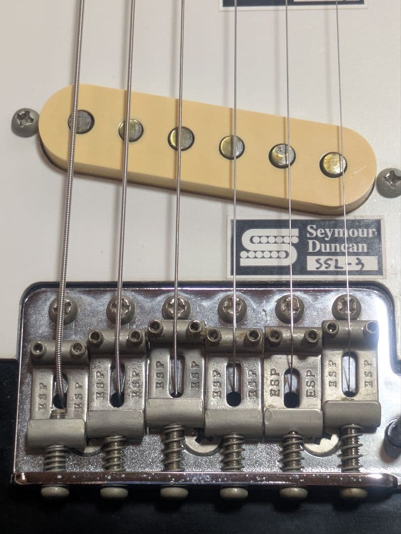EDWARDS E-SE-93M/LT ダンカン　ラッカートップ　送料無料