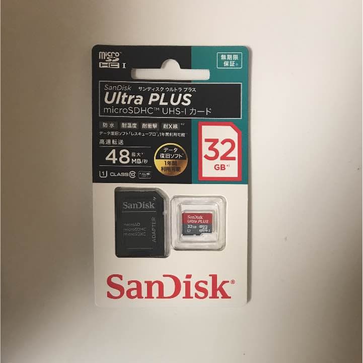 ゴープロセッション5