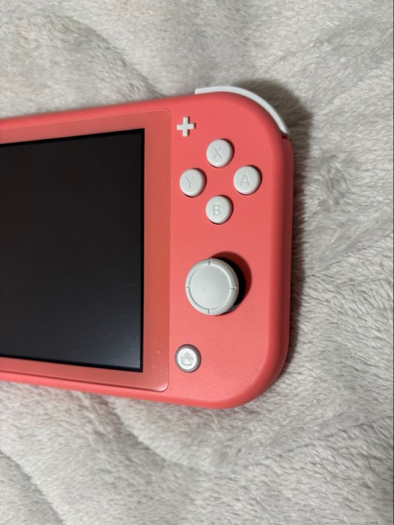 Switch ライト ピンク カセット2本