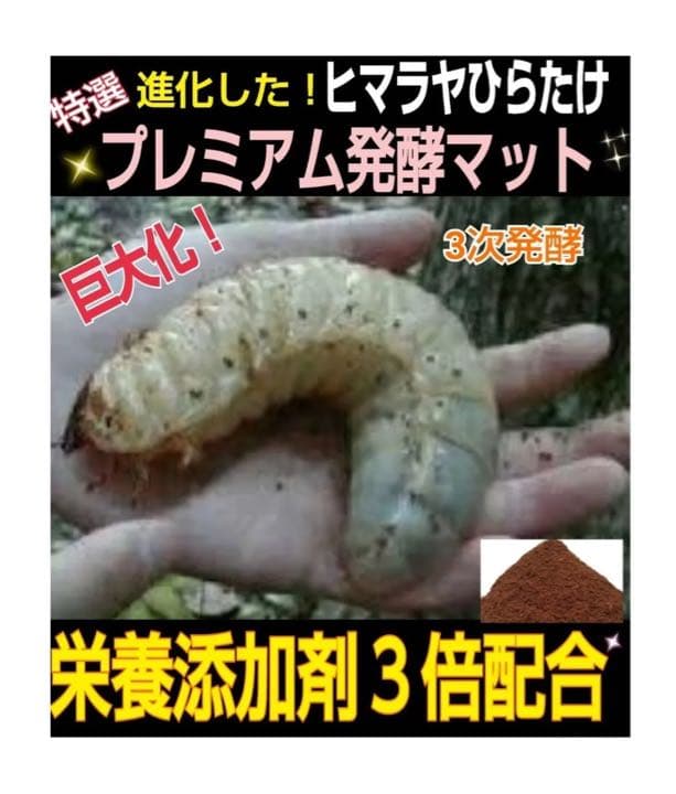 【3セット】10リットルケース入☆プレミアム発酵カブトムシマット☆幼虫入れるだけ
