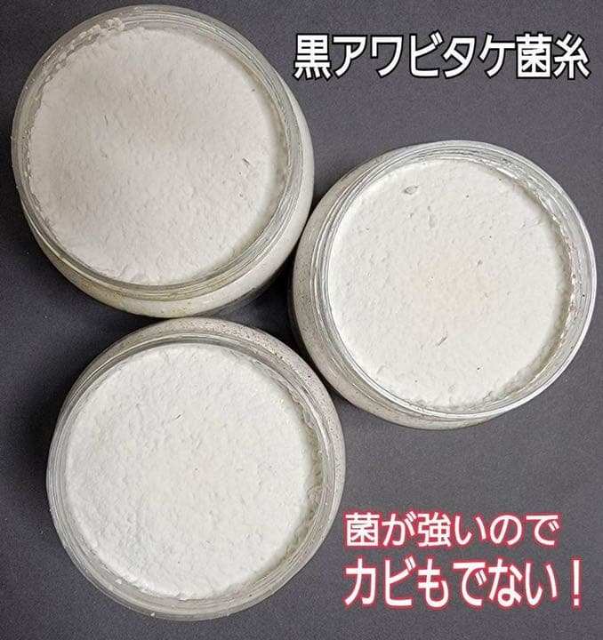 極上！黒アワビタケ菌糸瓶【8本】初令、2令に最適なサイズ！ニジイロクワガタに！