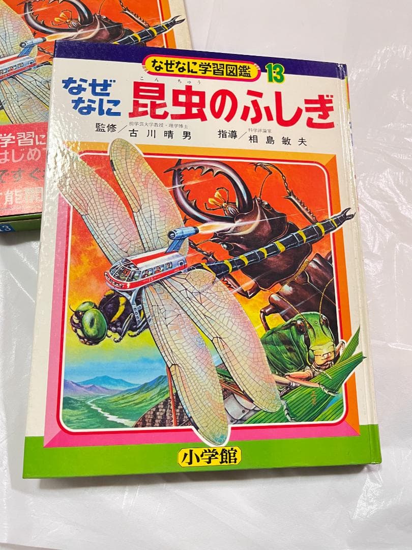 帯付き 小学館 なぜなに学習図鑑 13 昆虫のふしぎ