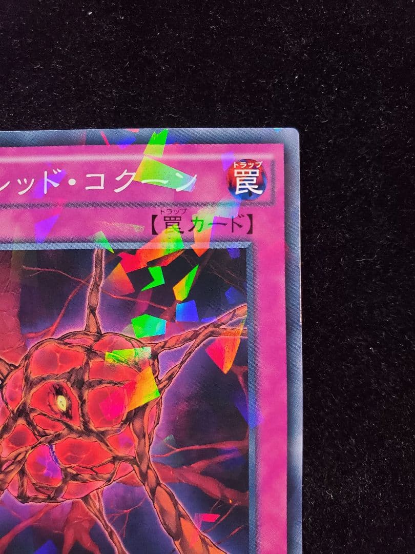 希少【SAMPLE表記】遊戯王　スカーレッド・コクーン（SPHR-JP026）