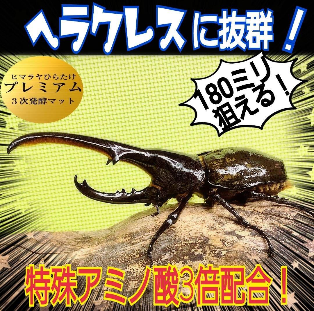 デカイ！20Lケース入りプレミアム発酵カブトムシマット【2セット】幼虫入れるだけ