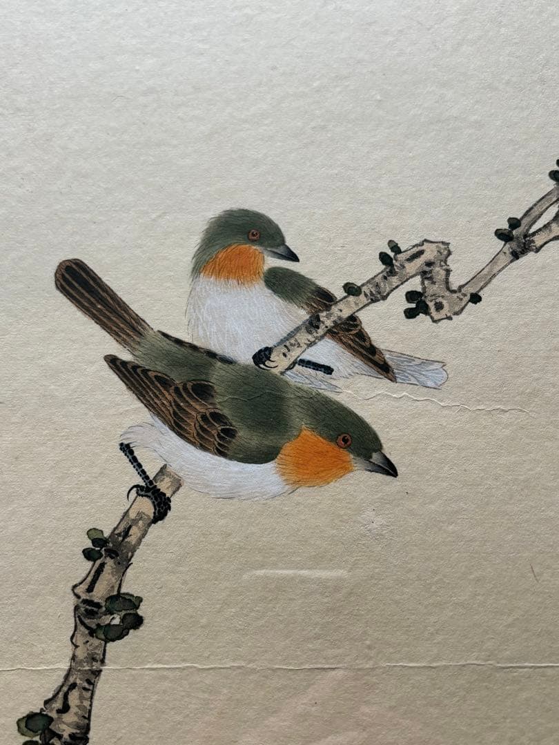 中国美術品　工筆画　陳年　陳半丁　半丁老人　サイズ　59✖️84cm