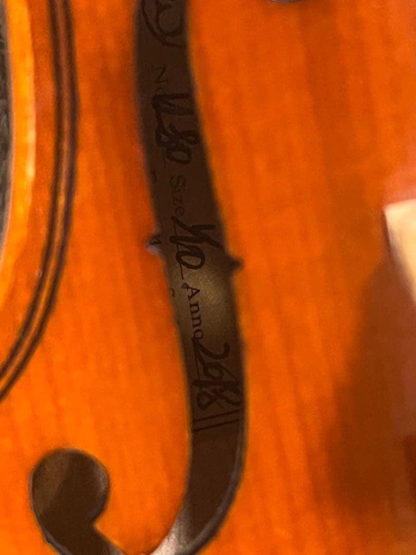 Andreas Eastman VL80 1/10サイズ　2018年製バイオリン