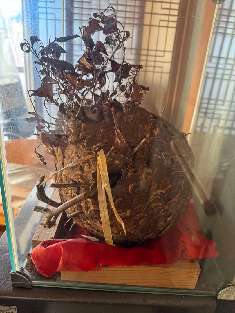 蜂の巣