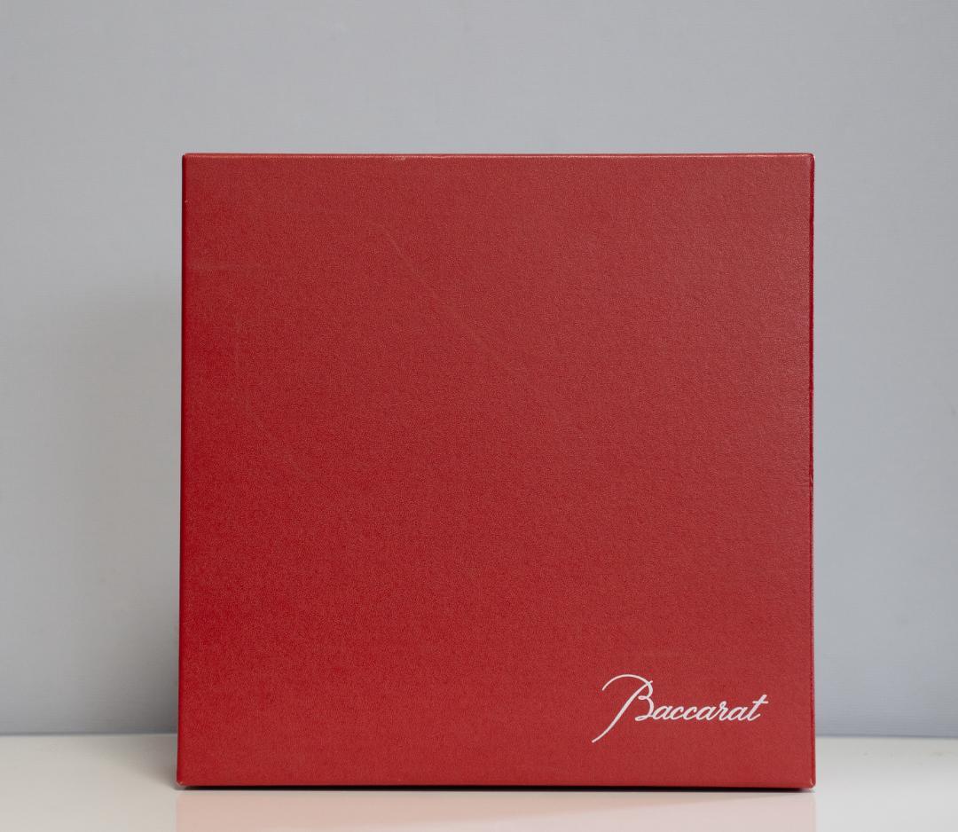 【新品】Baccarat バカラ エキノックス 5脚セット 箱付