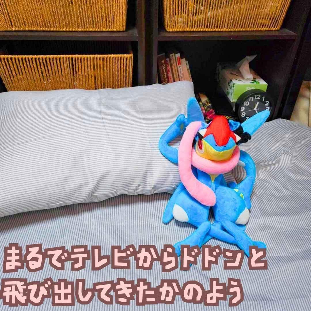 サトシゲッコウガ　ぬいぐるみ　ゲッコウガ　大きい　大　国内35cm　【残3】
