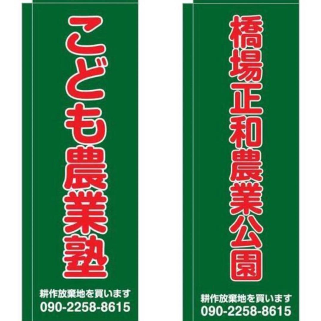 イタリア雑貨・ピエロコレクション【木製　ピノキオ　2体セット】