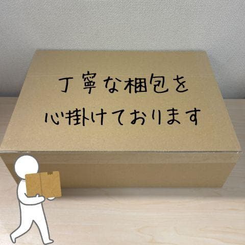 THOMSON カラオケセット 拡声器 ワイヤレスマイク2本付き PAセット p