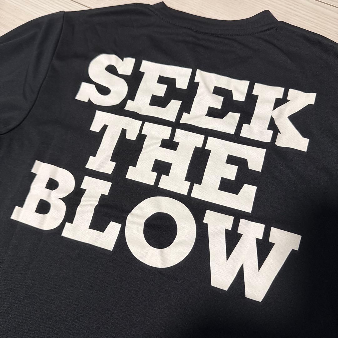 レイドジャパン　SEEK THE BLOWロンT