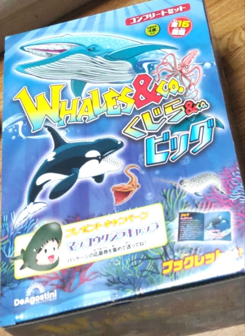 くじら＆Co. まとめ売り