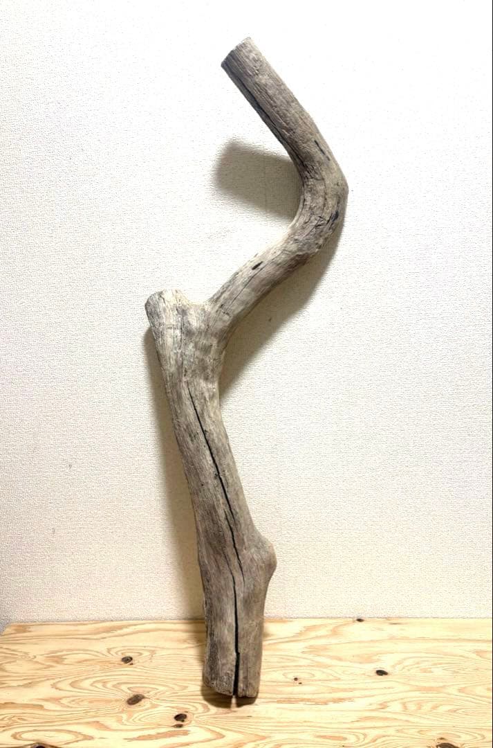 Ｇ39 流木　爬虫類　両生類　小動物シェルター　DIY ハンドメイド　観葉植物