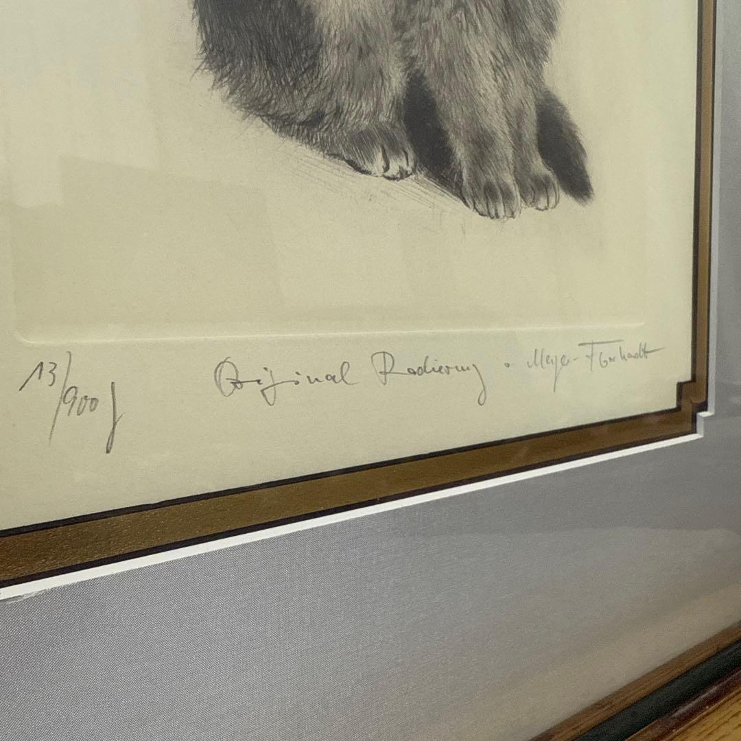 猫　絵画