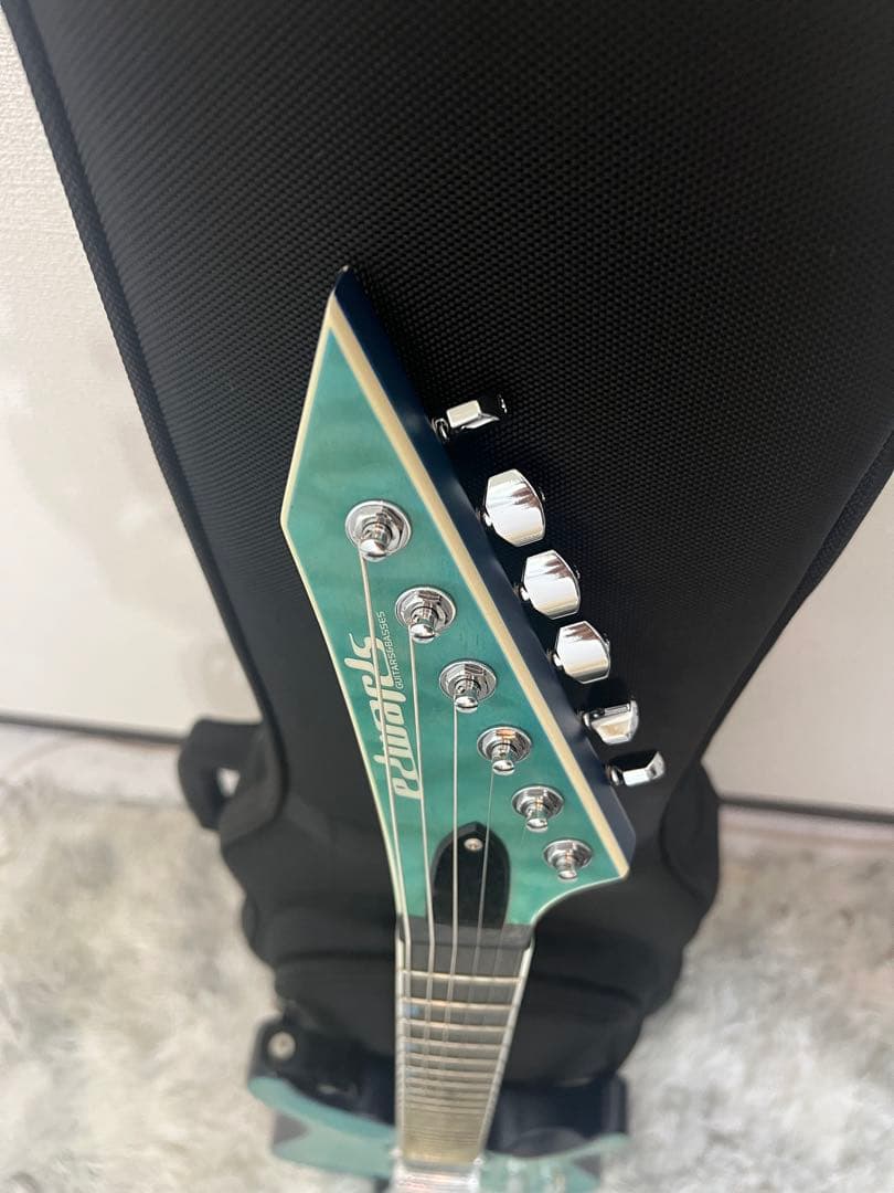 【1週間限定:お値引き】EDWARDS E-HR-SNT