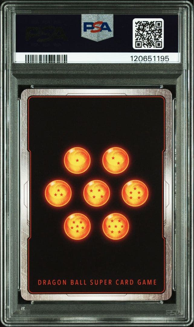 PSA10チチ1195