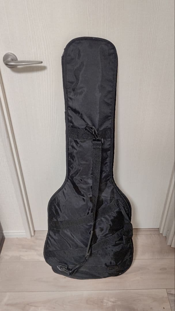 Epiphone Les Paul エレキギターとケース