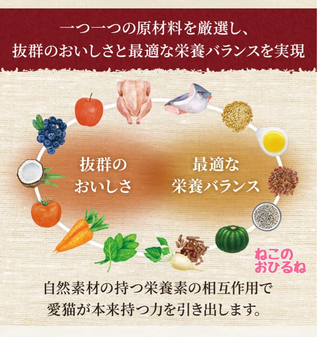 ニュートロシュプレモ　子猫用　（チキン&サーモン）　3kgパック×2袋