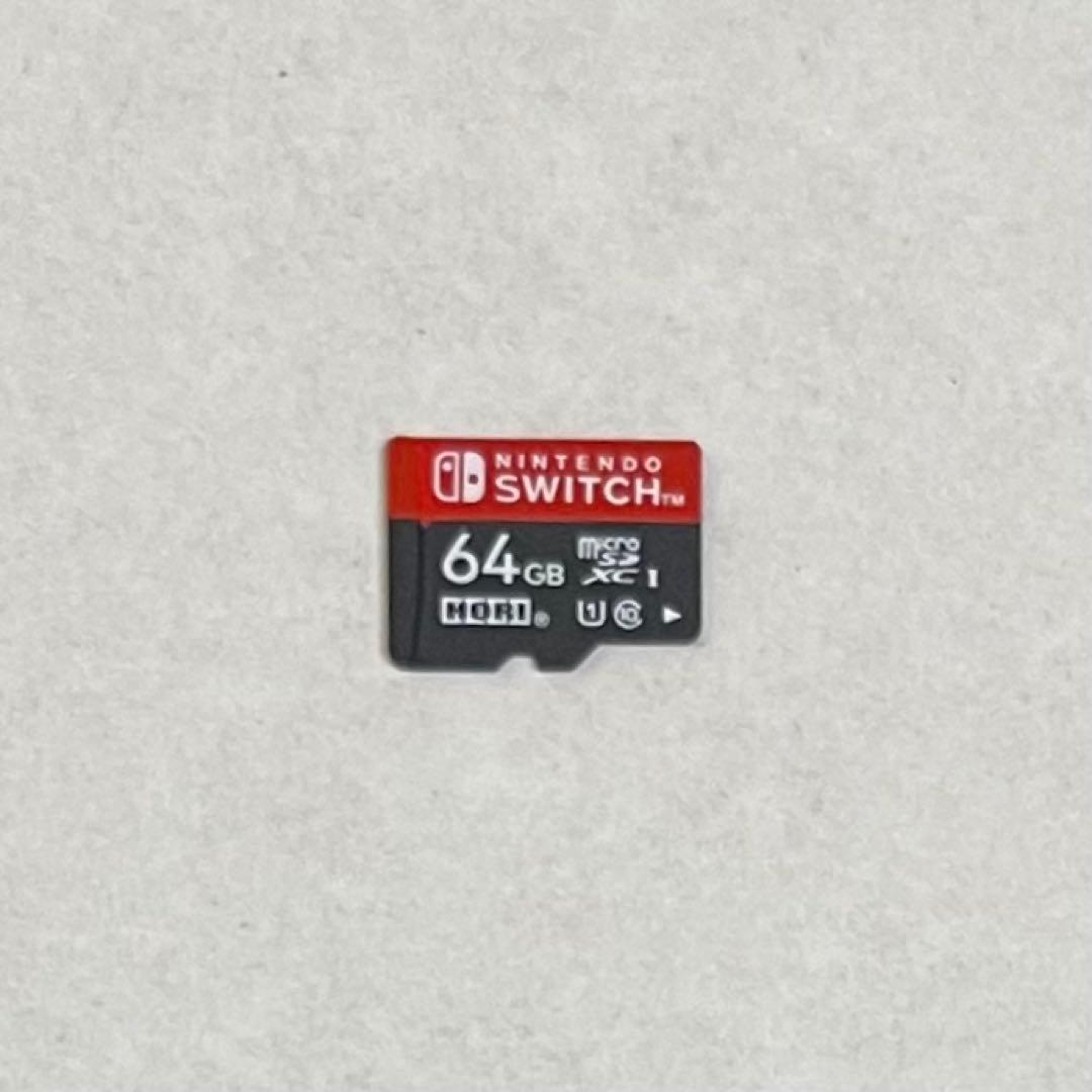 Nintendo Switch Let's Go! ピカチュウセット 付属品完品